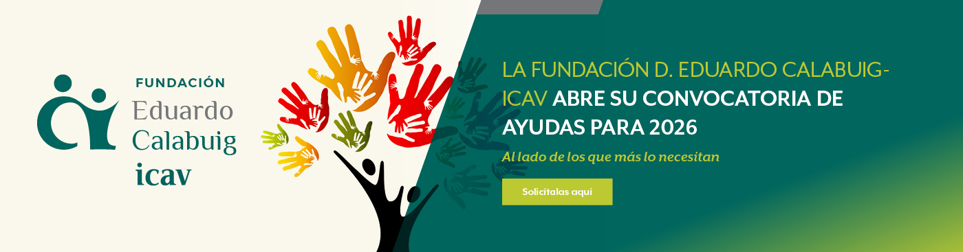 <p>Fundación</p>